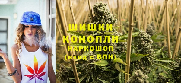 PSILOCYBIN Богданович