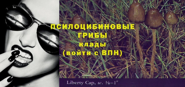 мдпв Вяземский