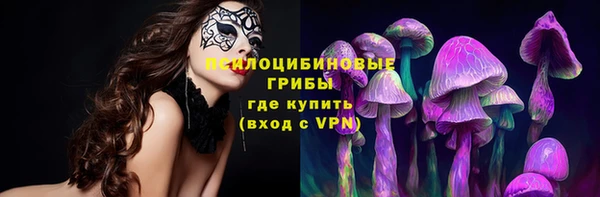 экстази Богородицк