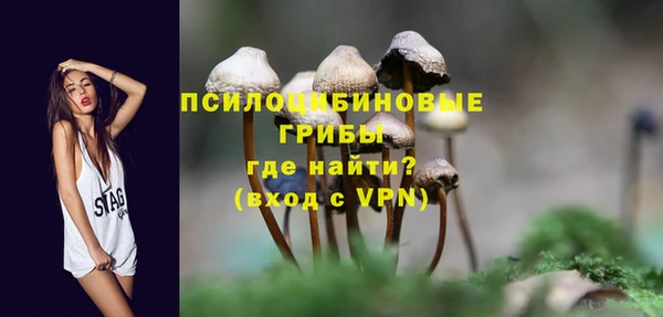экстази Богородицк
