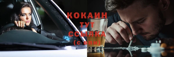 PSILOCYBIN Богданович