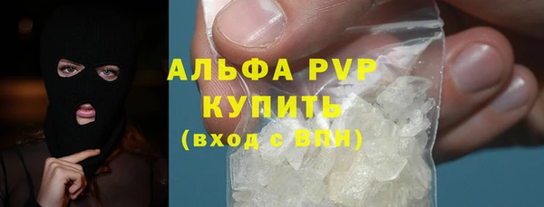 PSILOCYBIN Богданович