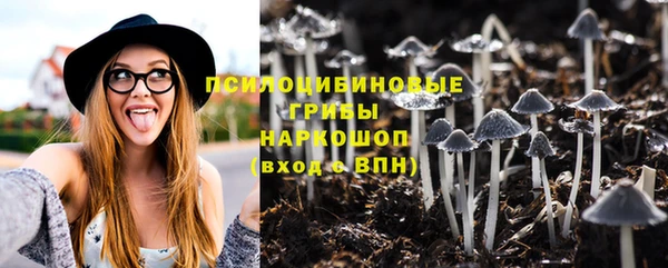 экстази Богородицк