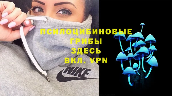 PSILOCYBIN Богданович